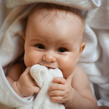 Фотография #812290, автор: Иван Волохов