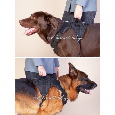 Фотография #812991, автор: Наталия Китаева