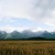Фотография #694750, выездная фотосъемка, автор: Роман Гриев