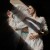 Фотография #704381, , автор: mediacouple 