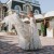 Фотография #704413, , автор: mediacouple 