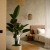 Фотография #810118, автор: Photo Island 